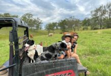Beaudesert mum warns on Q Fever