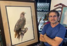 Scenic Rim artist wins in America