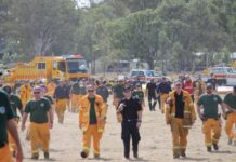 Be ready for bushfires