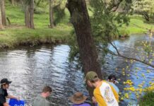 All set for Darlington Duck Race