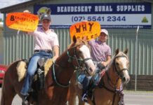 Council releases plan for Helen Street saleyard