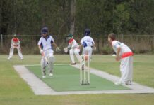 Cricketers shine ahead of Christmas break