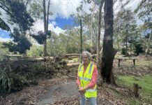 Tamborine Mountain community takes action in face of disaster