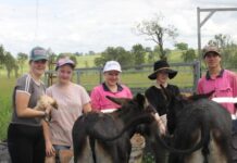 Volunteers chip in to repair Nana Bear storm damage