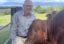 Pace to step up in council election