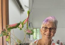 All set for 72nd Beaudesert Reunion