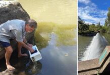 ‘It’s a load off my mind’: Man’s 20 plus year fight to demolish Luscombe Weir