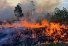 Firies reduce hazard