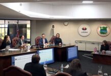 Logan councillors say no to ‘outdated and sexist’ mayoress role