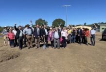 Budget call for horses