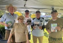 Vets’ nam concert rocks