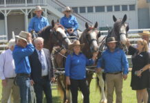 Clydies coming to Beaudesert