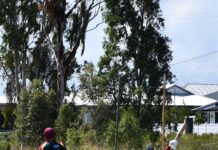 Bushies are back at it again