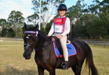 Bright lights for twilight dressage