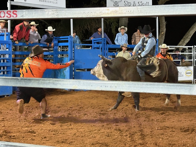 Harrisville delivers rodeo - Beaudesert Times