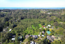 Resort plan in the balance