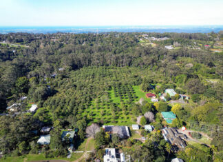 Resort plan in the balance