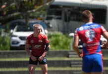 Beauy bunny’s NRL shot