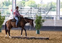 Super utility saddles up