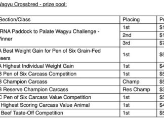 Data drives Ekka Wagyu Challenge success